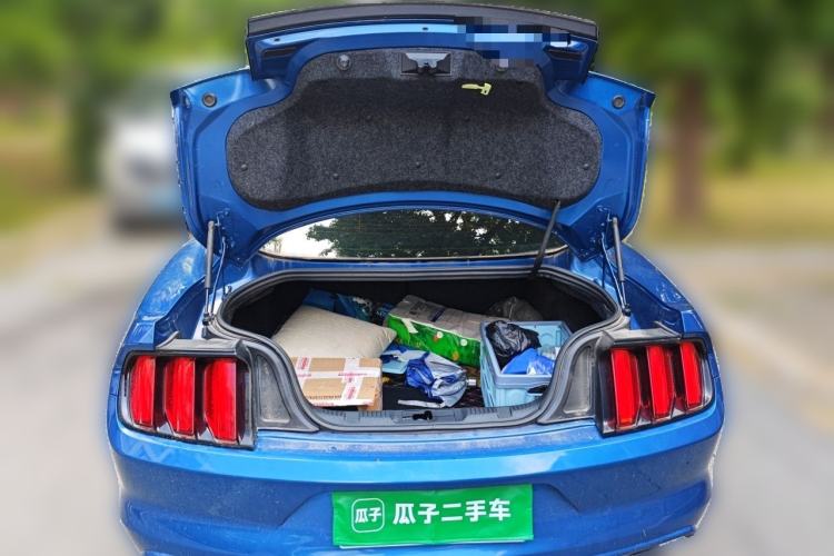 Used Ford Mustang  Trunk