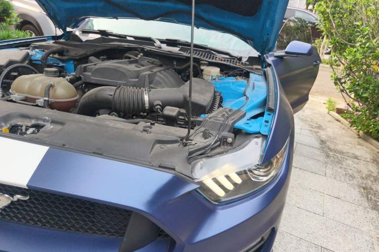 Used Ford Mustang 2017 2.3T Performance Edition Engine Bay Left