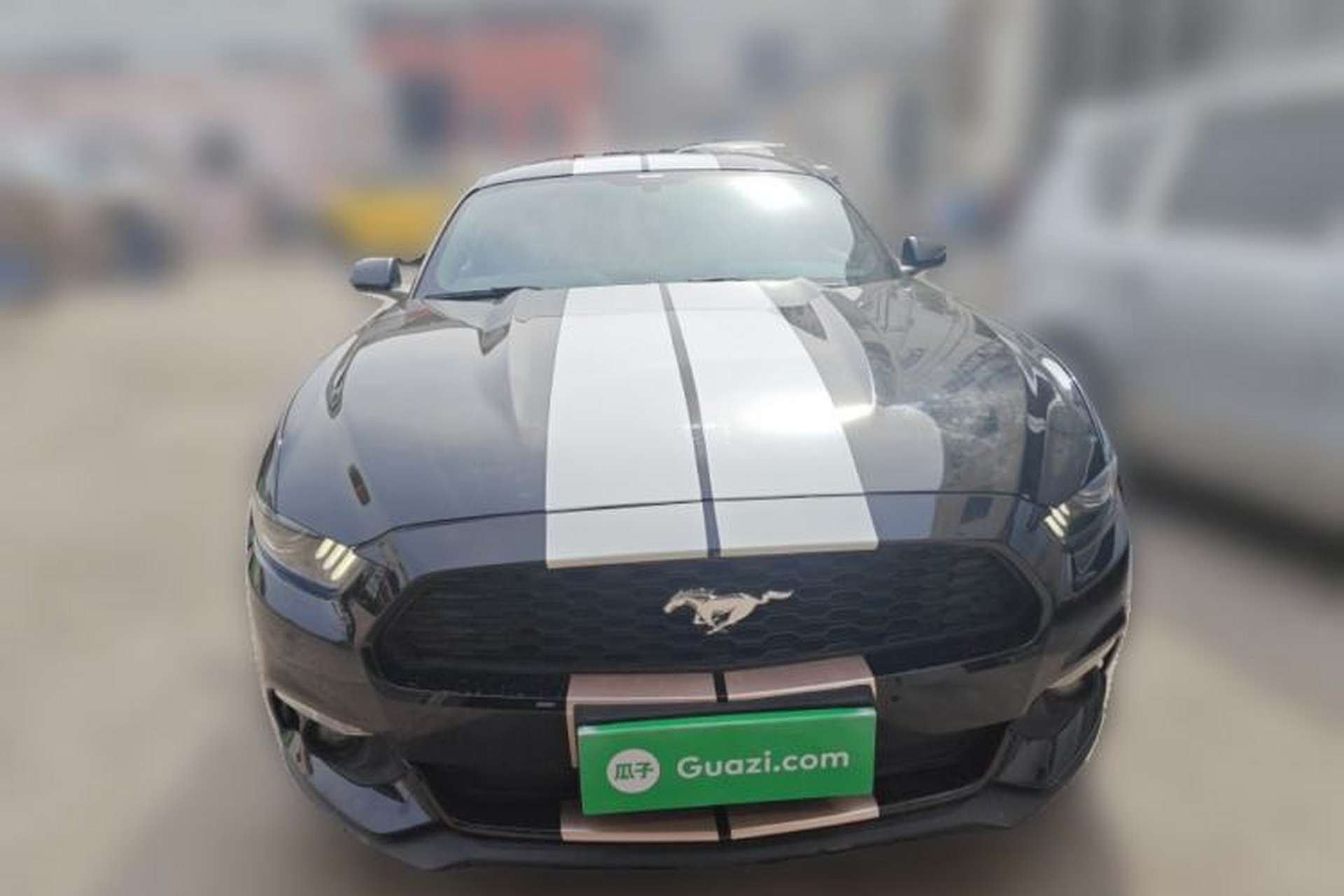 Used Ford Mustang 2017 2.3T Performance Edition Front