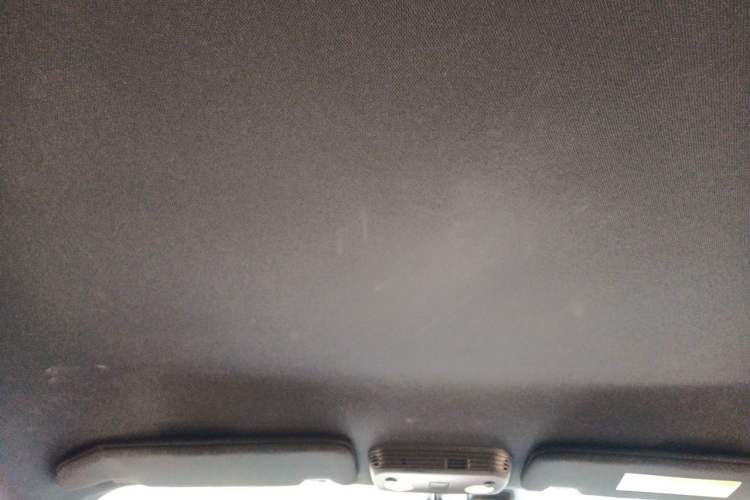 Used Ford Mustang  Headliner