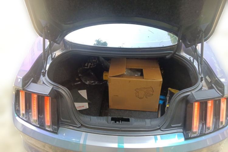 Used Ford Mustang  Trunk