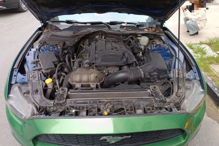 Used Ford Mustang 2017 2.3T Performance Edition Engine Bay