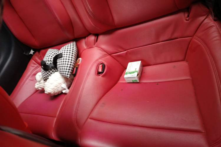 Used Ford Mustang 2017 2.3T Performance Edition Left Rear Seat