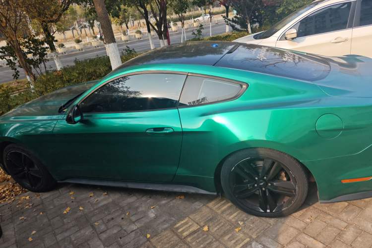 Used Ford Mustang 2017 2.3T Performance Edition Left Side