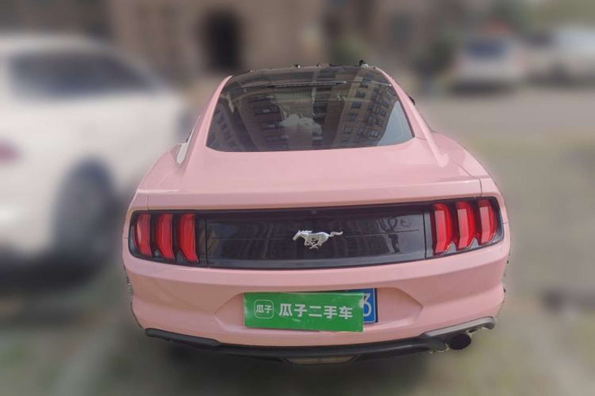 Used Ford Mustang 2017 2.3T P-Version U.S. Specification Rear