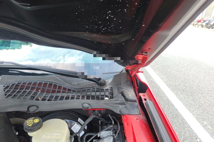 Used Ford Mustang 2017 2.3T Performance Edition Engine Bay Left