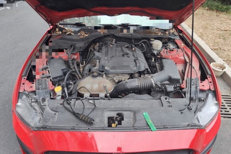 Used Ford Mustang 2017 2.3T Performance Edition Engine Bay