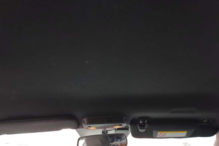 Used Ford Mustang 2017 2.3T Performance Edition Headliner