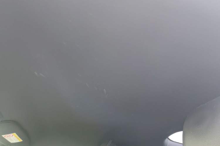 Used Ford Mustang 2017 2.3T Performance Edition Headliner