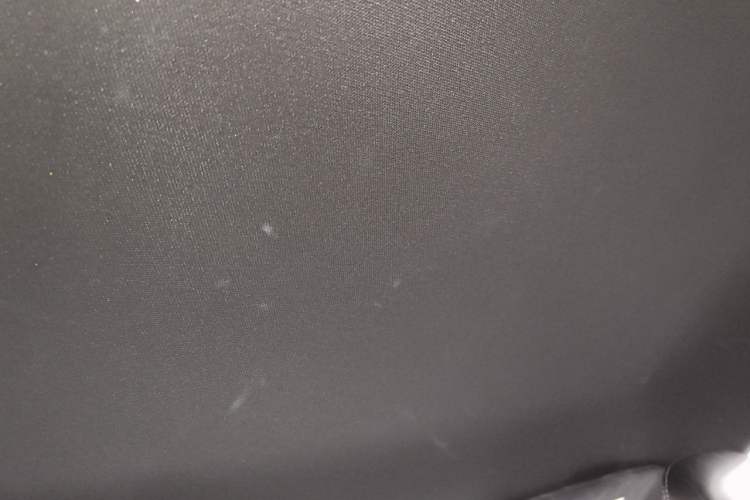 Used Ford Mustang 2017 2.3T Performance Edition Headliner