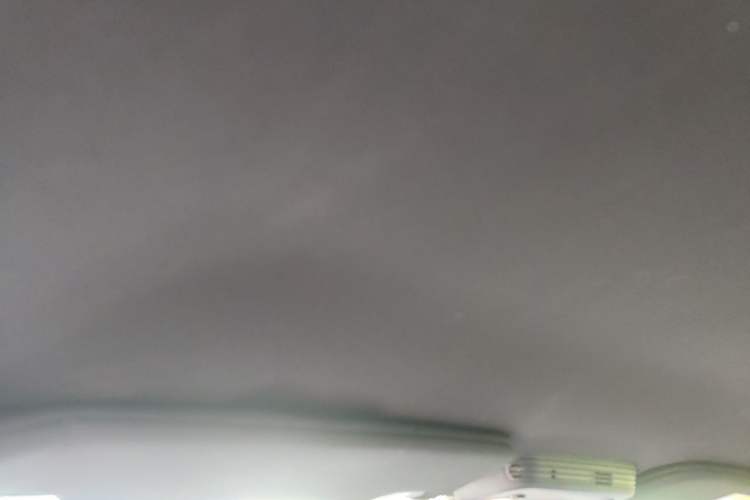 Used Ford Mustang 2017 2.3T Performance Edition Headliner