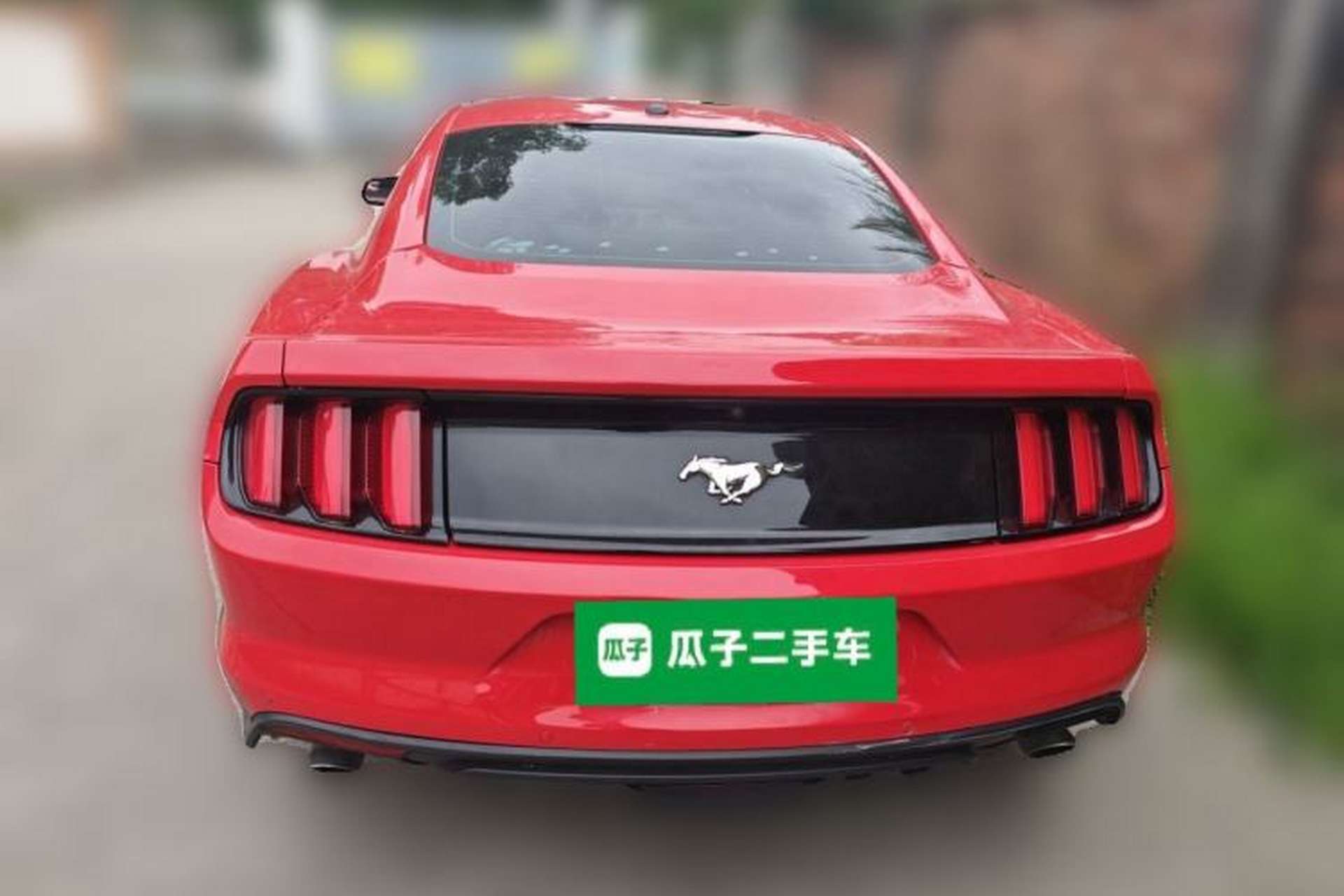 Used Ford Mustang 2017 2.3T Performance Edition Rear