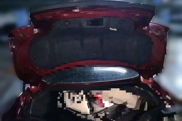 Used Ford Mustang 2017 2.3T Performance Edition Trunk