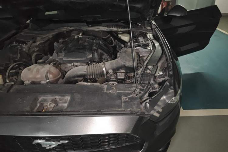 Used Ford Mustang 2017 2.3T Performance Edition Engine Bay Left