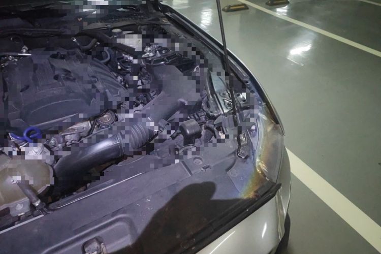 Used Ford Mustang 2017 2.3T Performance Edition Engine Bay Left
