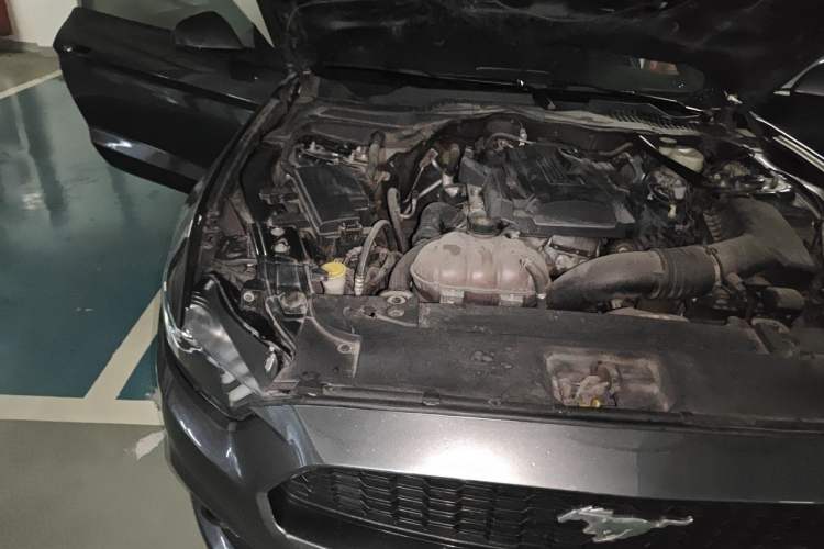 Used Ford Mustang 2017 2.3T Performance Edition Engine Bay Right