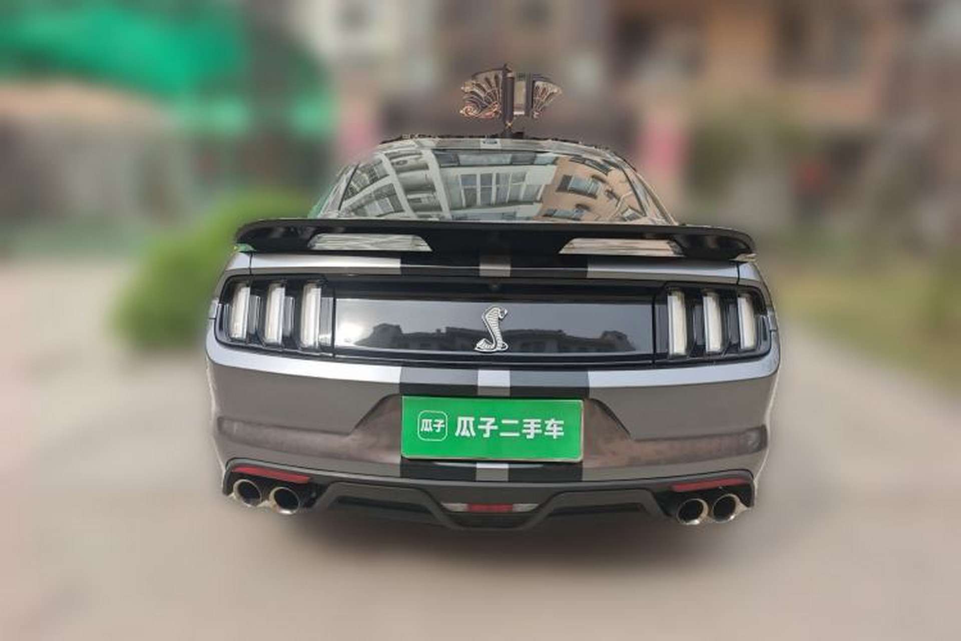 Used Ford Mustang 2017 2.3T Performance Edition Rear