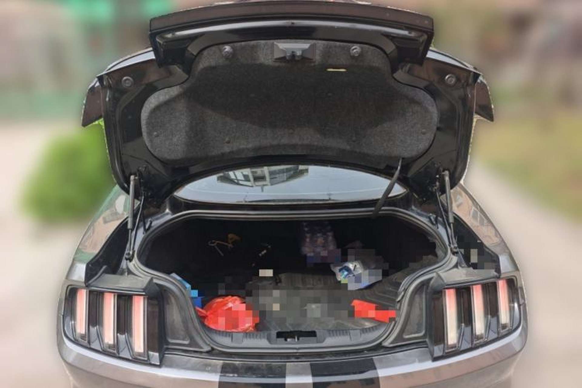 Used Ford Mustang 2017 2.3T Performance Edition Trunk