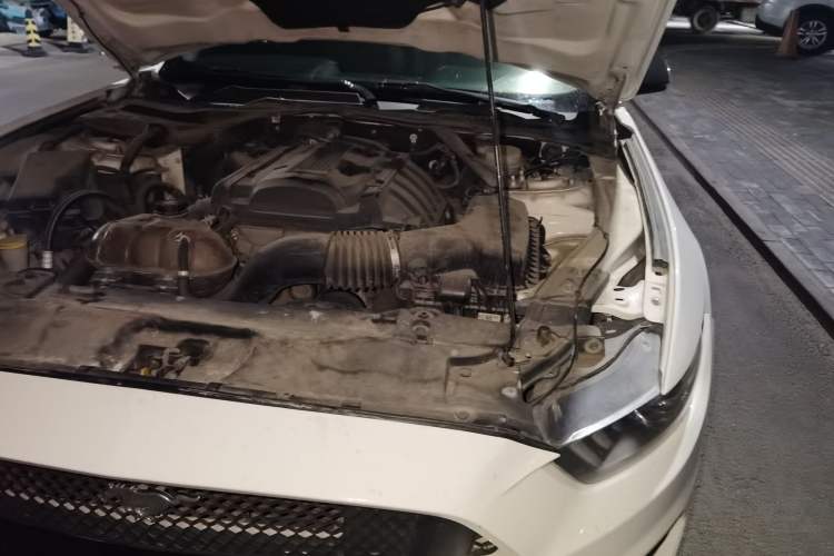 Used Ford Mustang 2017 2.3T Performance Edition Engine Bay Left