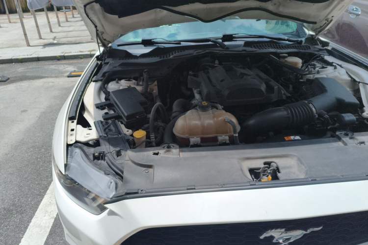 Used Ford Mustang 2017 2.3T Sport Edition Engine Bay Right