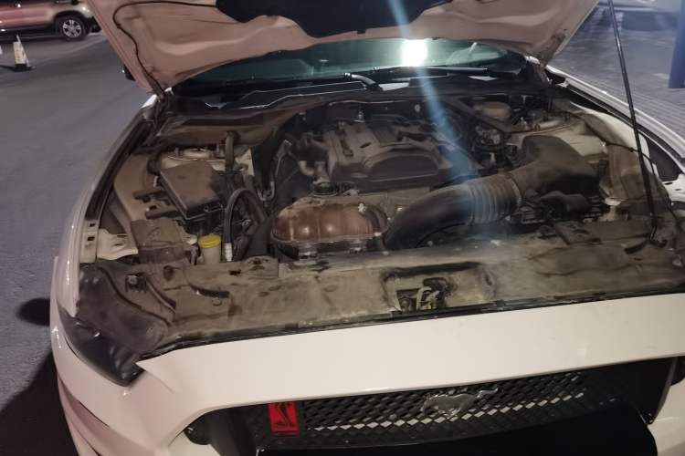 Used Ford Mustang 2017 2.3T Performance Edition Engine Bay Right