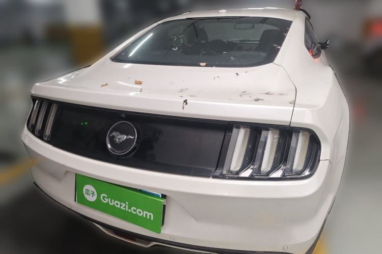 Used Ford Mustang 2017 2.3T Performance Edition Rear