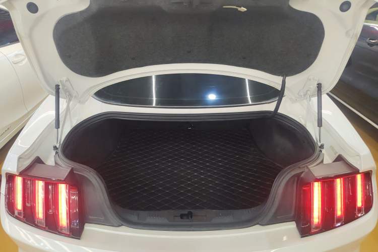 Used Ford Mustang 2017 2.3T Performance Edition Trunk