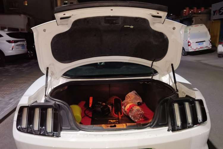 Used Ford Mustang 2017 2.3T Performance Edition Trunk
