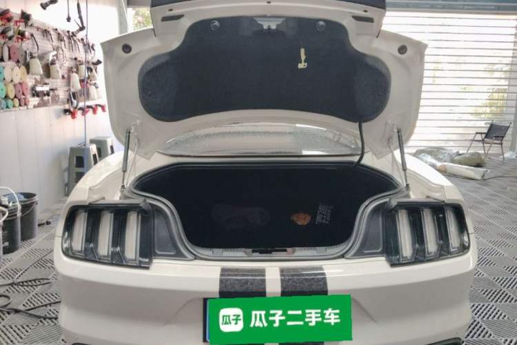 Used Ford Mustang 2017 2.3T Performance Edition Trunk