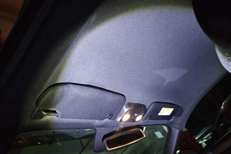 Used Ford Mustang 2017 2.3T Performance Edition Headliner