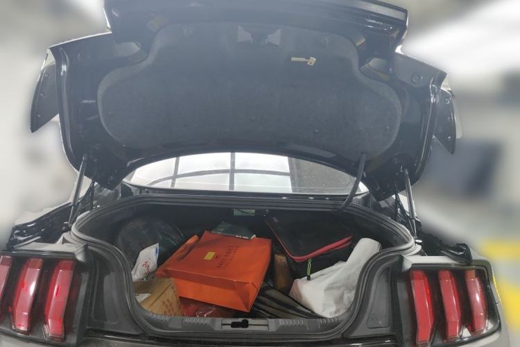 Used Ford Mustang  Trunk
