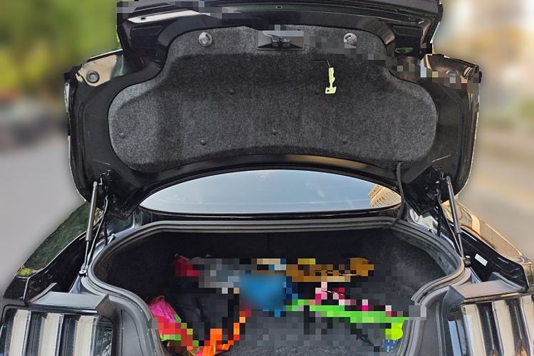 Used Ford Mustang 2018 2.3L EcoBoost Trunk