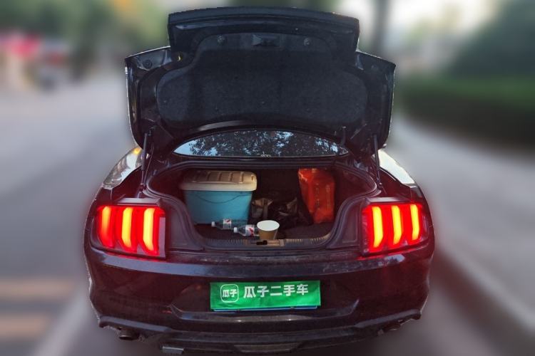 Used Ford Mustang  Trunk