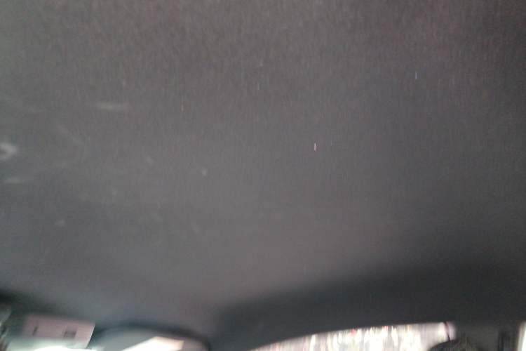 Used Ford Mustang  Headliner