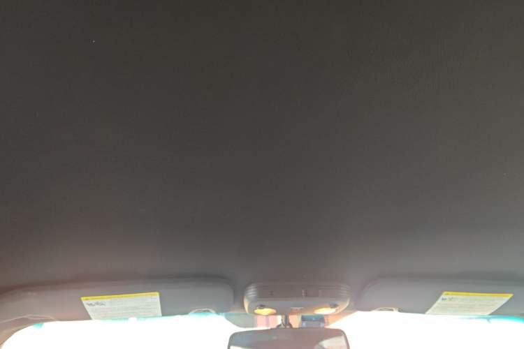 Used Ford Mustang  Headliner