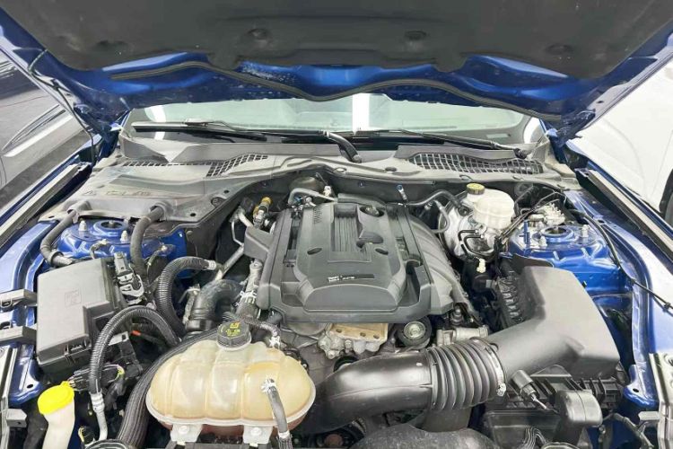 Used Ford Mustang 2018 2.3T Automatic Hardtop Standard Trim U.S. Specification Interior 8