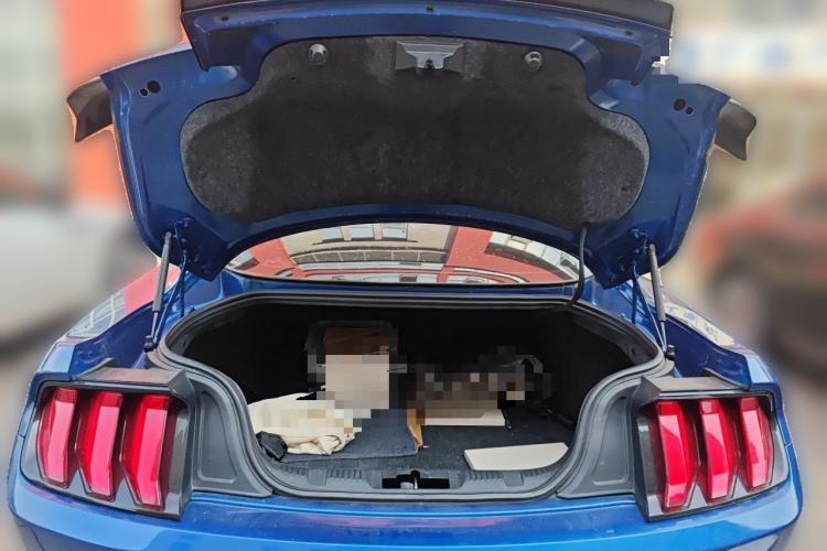 Used Ford Mustang  Trunk
