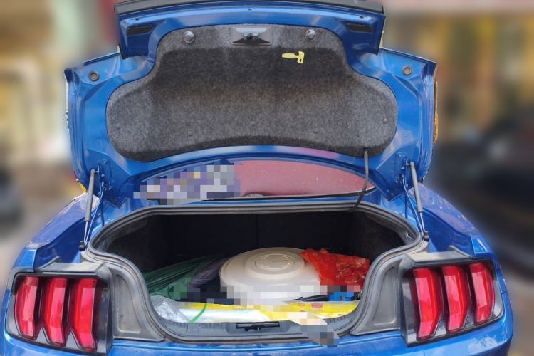 Used Ford Mustang  Trunk