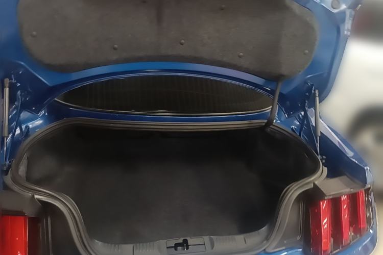 Used Ford Mustang  Trunk