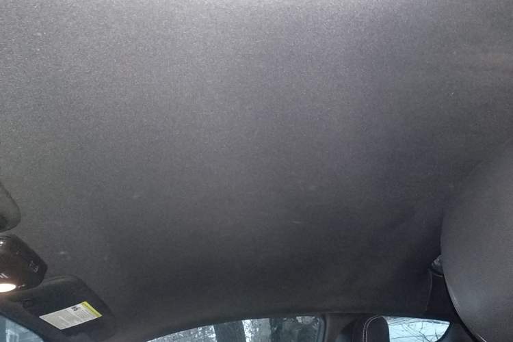 Used Ford Mustang 2018 2.3L EcoBoost Headliner