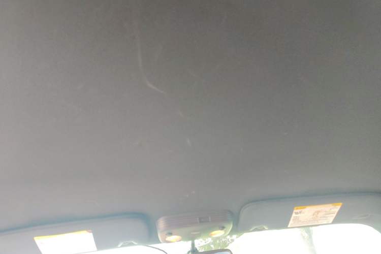 Used Ford Mustang  Headliner