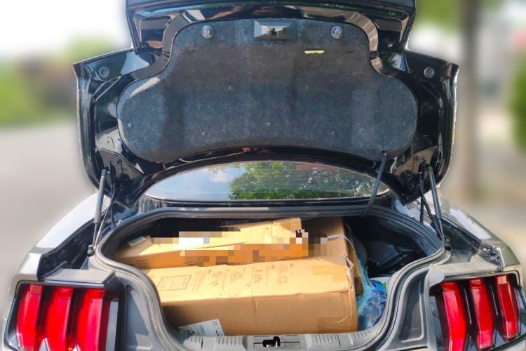 Used Ford Mustang  Trunk