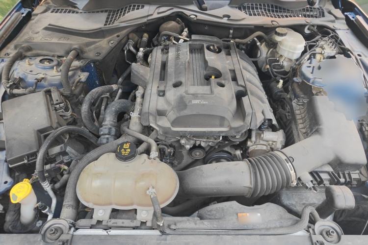 Used Ford Mustang  Engine Bay