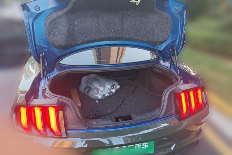 Used Ford Mustang  Trunk