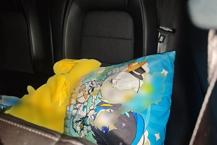 Used Ford Mustang  Left Rear Seat