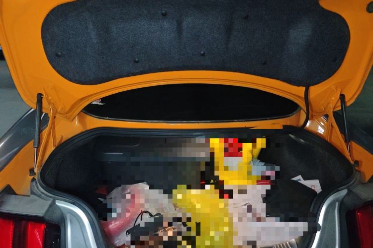 Used Ford Mustang  Trunk