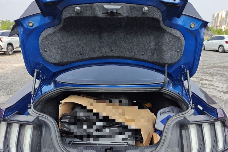 Used Ford Mustang  Trunk