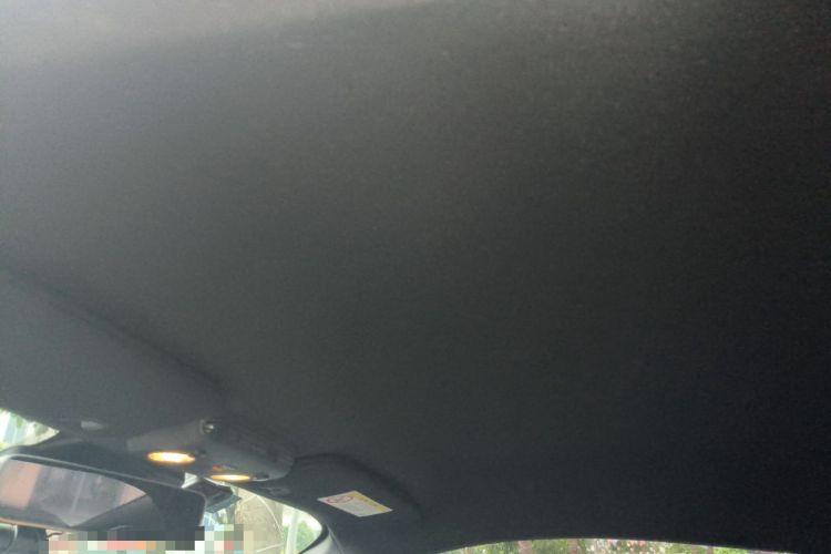 Used Ford Mustang 2018 2.3L EcoBoost Headliner