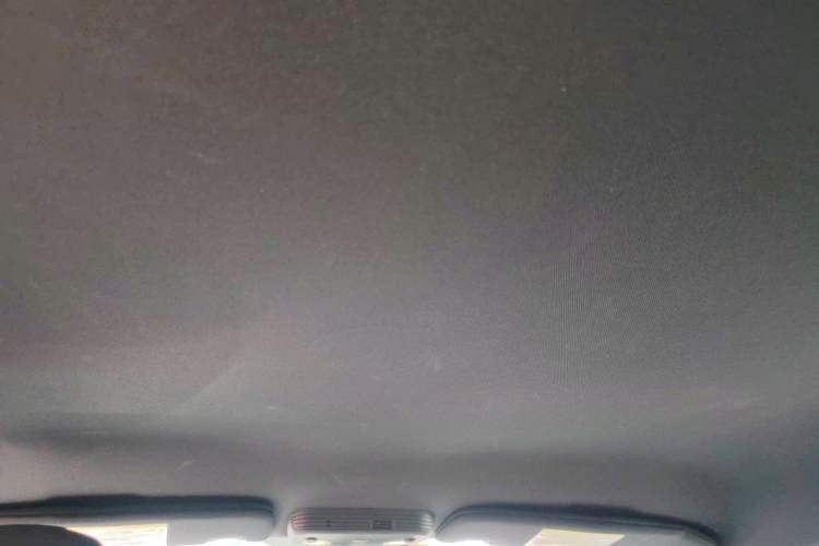 Used Ford Mustang  Headliner