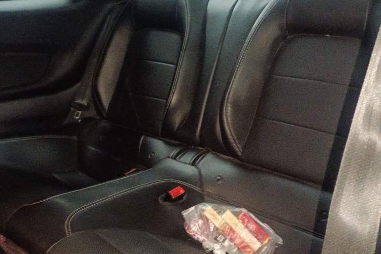 Used Ford Mustang 2018 2.3L EcoBoost Left Rear Seat